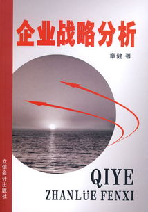 企業(yè)戰(zhàn)略營(yíng)銷策劃方案