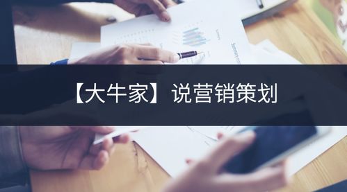大牛家的營(yíng)銷策劃制勝之道 讓企業(yè)在創(chuàng)新中崛起